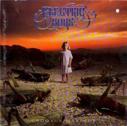 Groovus Maximus Cover