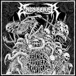 Flesh Hammer Prophecy Cover