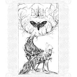 Moth's Illusion Cover