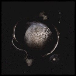 Cold Black Suns Cover