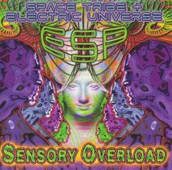 Sensory Overload Cover