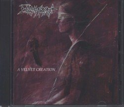 A Velvet Creation Cover