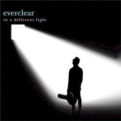 In a Different Light Cover