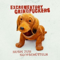 Musik zum Kopfschütteln Cover