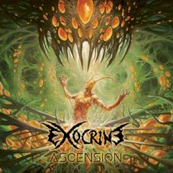 Ascension Cover