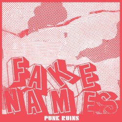 Punk Ruins Cover