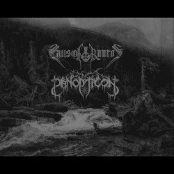 Falls of Rauros / Panopticon Cover