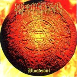 Bloodsoul Cover