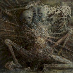 Advent of Wounds Cover