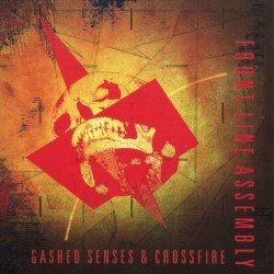 Gashed Senses & Crossfire Cover
