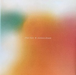 Siamese Dream Cover