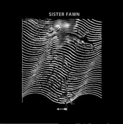Sister Fawn Cover