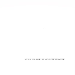 Fury in the Slaughterhouse Cover