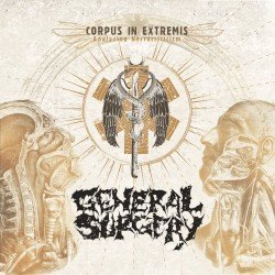 Corpus in Extremis: Analysing Necrocriticism Cover
