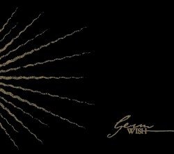 Wish Cover
