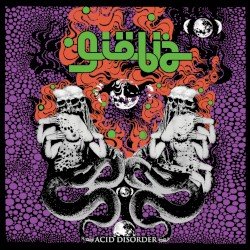Acid Disorder Cover