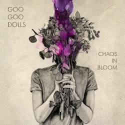 Chaos in Bloom Cover