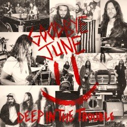 Deep in the Trouble Cover