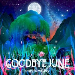 Magic Valley Cover