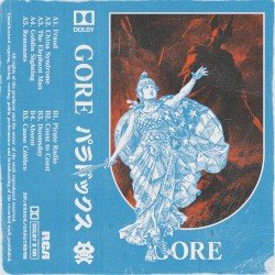 パラドックス Cover