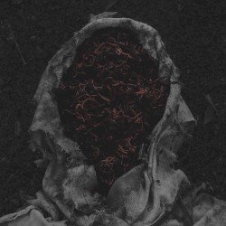 Stillamentum Cover