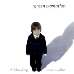 A Blessing in Disguise Cover