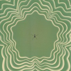 Third Cover