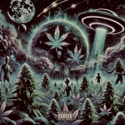 4Twenty® Cover