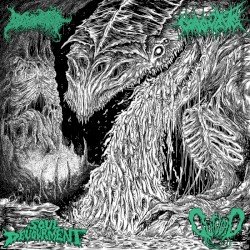 Four Dimensions of Auditory Terror Cover