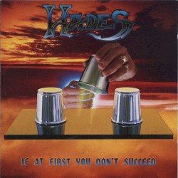 If at First You Don’t Succeed Cover