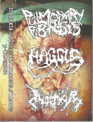 Haggus / Inopexia / Pulmonary Fibrosis Cover