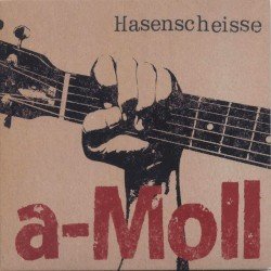 a-Moll Cover