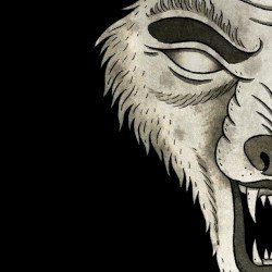 Attack of the Wolf King Cover