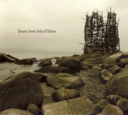 Seven Veils of Silence Cover