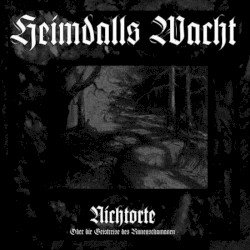 Nichtorte - Oder die Geistreise des Runenschamanen Cover