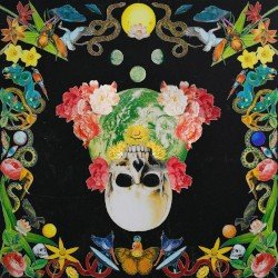 Helichrysum Cover