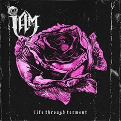 Life Through Torment Cover