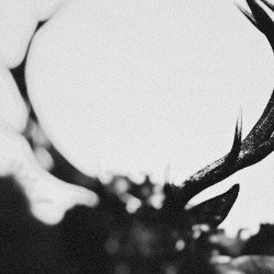 Ihsahn Cover