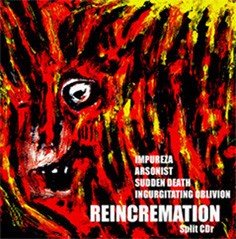 Reincremation Cover