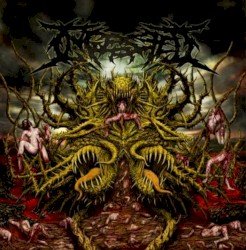 Surpassing the Boundaries of Human Suffering Cover