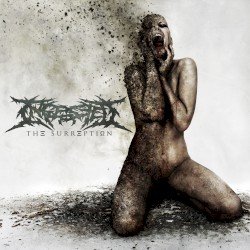 The Surreption Cover