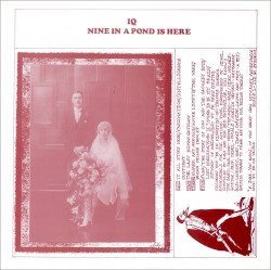 Nine in a Pond Is Here Cover
