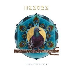 Headspace Cover