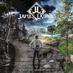 Beautiful Shade of Grey Cover