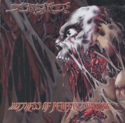 Witness of Perfect Torture Cover