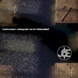Between Despair and Disbelief Cover
