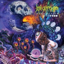 Moon Healer Cover