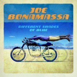 Different Shades of Blue Cover