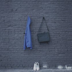 Why Did You Do It? Cover