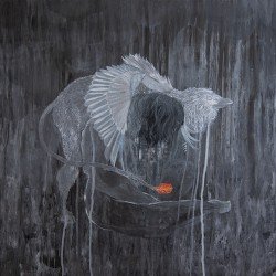 Every Rock, Every Half‐Truth Under Reason Cover